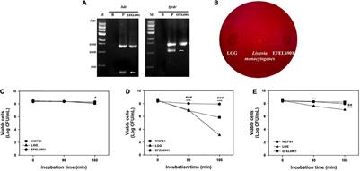 Development of Anti-inflammatory Probiotic Limosilactobacillus reuteri EFEL6901 as Kimchi Starter: in vitro and In vivo Evidence